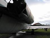 IMG_1230.jpg