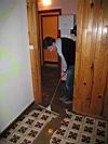 IMG_1260.jpg